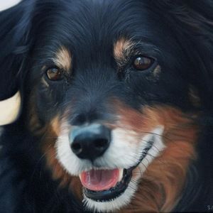 Meet your Posher, Marco